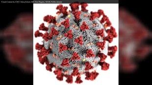 File:En.Wikipedia-VideoWiki-Coronavirus disease 2019.webm