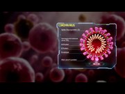 File:20200130 - Scientific Animations - Medical Animation Coronavirus Structure.webm