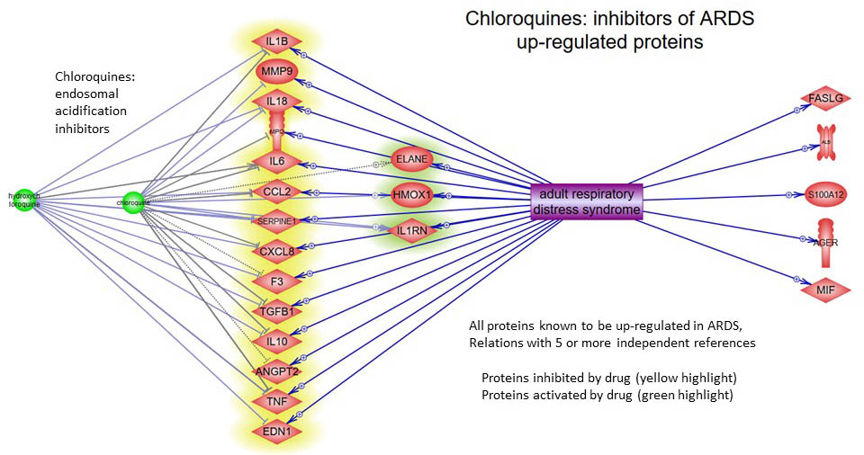 Chloroquines — inhibitors of ARDS up-regulated proteins — visualized on Elsevier's Biology Knowledge Graph