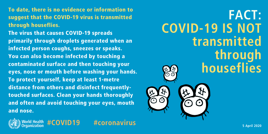 FACT: COVID-19 IS NOT transmitted through houseflies