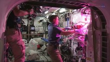 File:ScienceCasts- Historic Vegetable Moment on the Space Station.webm