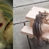 Une poupée recyclée et une table à pique-nique pour écureuil.