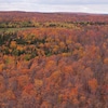 Une grande forêt boréale vue des airs avec les couleurs de l'automne.