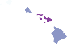 COVID-19 rolling 14day Prevalence in Hawaii by county.svg