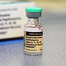 Gardasil human papillomavirus vaccine