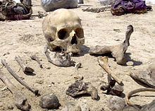 Iraqi mass grave.jpg