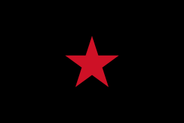 Ejército Zapatista de Liberación Nacional, Flag.svg