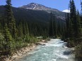 Out of those who are planning road trips this summer, about 43 per cent said they plan to visit a provincial park or national park, like the Yoho National Park in Canada's Rocky Mountains.