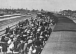 May 1944 - Jews from Carpathian Ruthenia arrive at Auschwitz-Birkenau.jpg