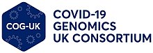 New COG-UK logo.jpg