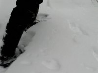 File:Snowshoeing.ogv