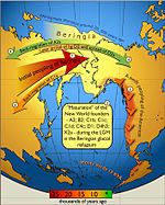 Map of gene flow in and out of Beringia.jpg