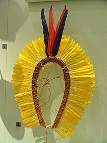 Headdress worn in ceremonies by boys and men, Kayapo culture, Porori, Xingu National Park, Mato Grosso, Brazil, c. 1966 - Royal Ontario Museum - DSC09546.JPG