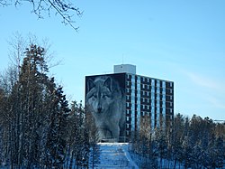 Highland Tower, chosen for the Spirit Way wolf mural, is the most prominent building on Thompson's skyline