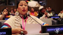 File:Descendant of Sitting Bull speaks at UN about fight against Dakota Access and State Violence.webm