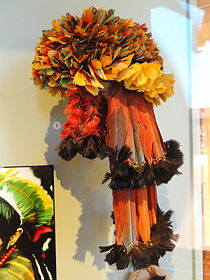 Headdress, Munduruku people, macaw and toucan feathers - South American collection - Peabody Museum, Harvard University - DSC05693.JPG
