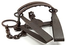 A Double spring steel bear trap made in mid-nineteenth century