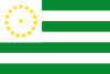 Flag of Department of Caquetá