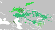 Kipchak Turkic Languages distribution map.png