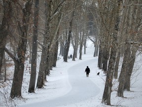 It was a wintery grey day as a walker enjoyed the pathway in Confederation Park in Calgary on Monday, December 6, 2021.