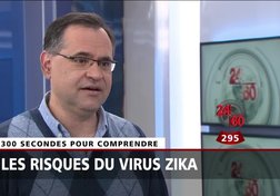 300 secondes pour comprendre le virus Zika
