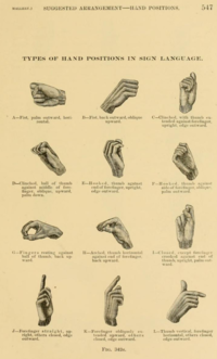 Engraving representing handshapes used in Plains Indian Sign Language