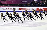 2015 Grand Prix of Figure Skating Final Team Nexxice IMG 9184.JPG