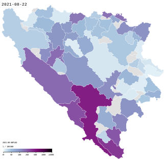COVID-19 Bosnia and Herzegovina - Cases per capita (last 14 days).svg