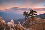Crimean Nature Reserve