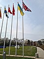 Strasbourg-Retrait du drapeau russe devant le Conseil de l'Europe (mars 2022) (3).jpg