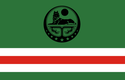 CRI flag emblem.png