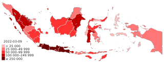 COVID-19 pandemic cases in Indonesia map (Density).svg
