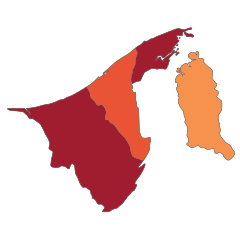 COVID-19 Outbreak Cases in Brunei (Density).svg