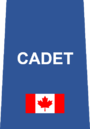 Toronto Police - Cadet.png
