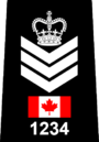 Toronto Police - Staff Sergeant.png