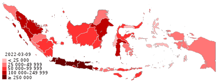 COVID-19 Outbreak Cases in Indonesia (Density).svg