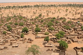 Environmental migration. Sparser rainfall leads to desertification that harms agriculture and can displace populations. Shown: Telly, Mali (2008).[221]