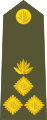 Brigadier general (Bengali: ব্রিগেডিয়ার জেনারেল, romanized: Brigēḍiẏāra jēnārēla) (Bangladesh Army)[8]