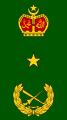 Brigedier jeneral (Malaysian Army)[31]