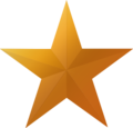 Bronze star icon