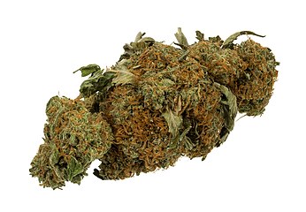 Dried flower buds (marijuana)