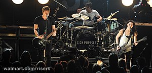 Sick Puppies performing in 2013.