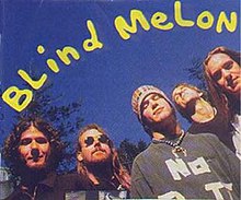 Blind Melon in 1993