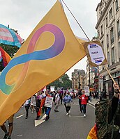 An Autistic Pride flag at a "Pride is a Protest" march in June 2021.