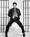 Image 8American singer Elvis Presley is known as the "King of Rock and Roll". (from Honorific nicknames in popular music)