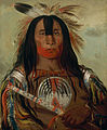 Stu-mick-o-súcks, Buffalo Bull's Back Fat, Head Chief, Blood Tribe, 1832 by George Catlin[11]