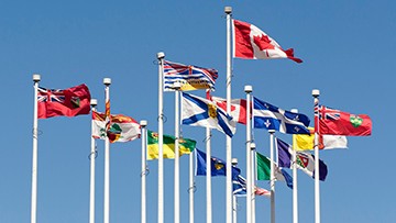 Le drapeau national du Canada et les drapeaux de chaque province et territoire au sommet de leur mât respectif.